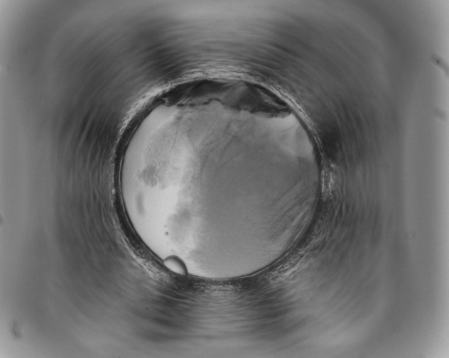 X0000096380438200802141435