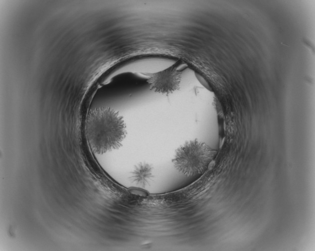 X0000096380440200802141435