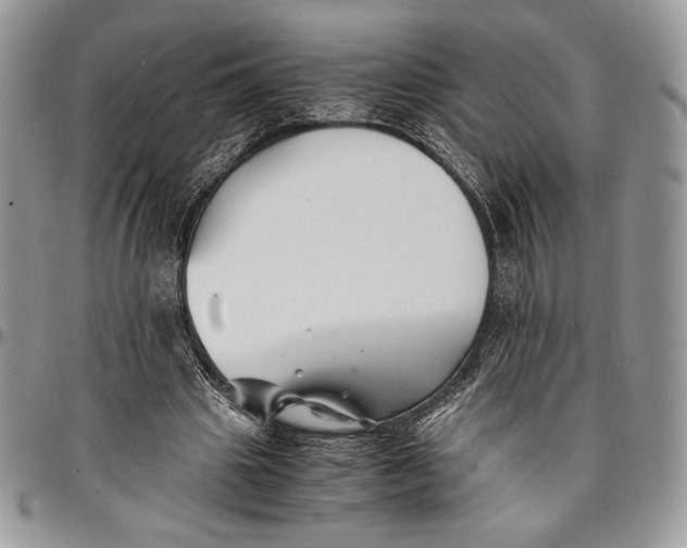 X0000096380441200802141435