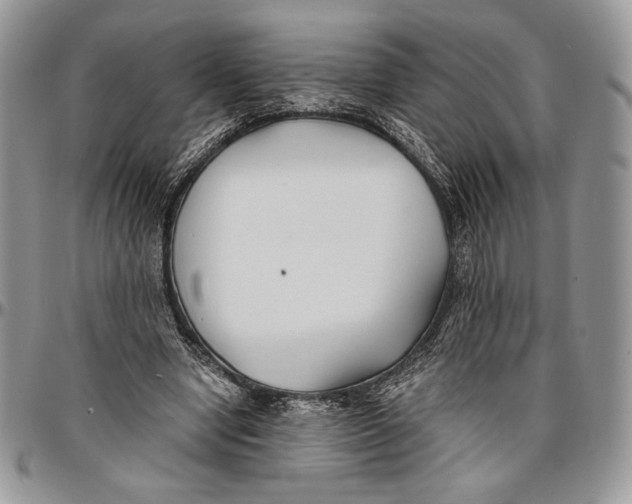 X0000096380442200802141435