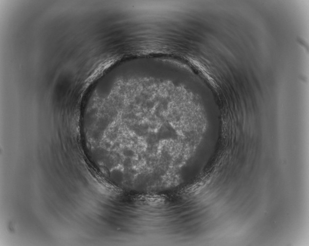 X0000096380443200802141435