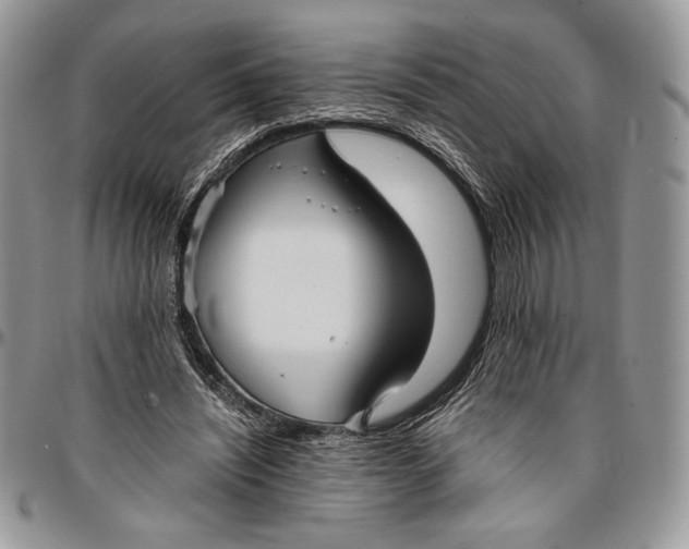 X0000096380444200802141435