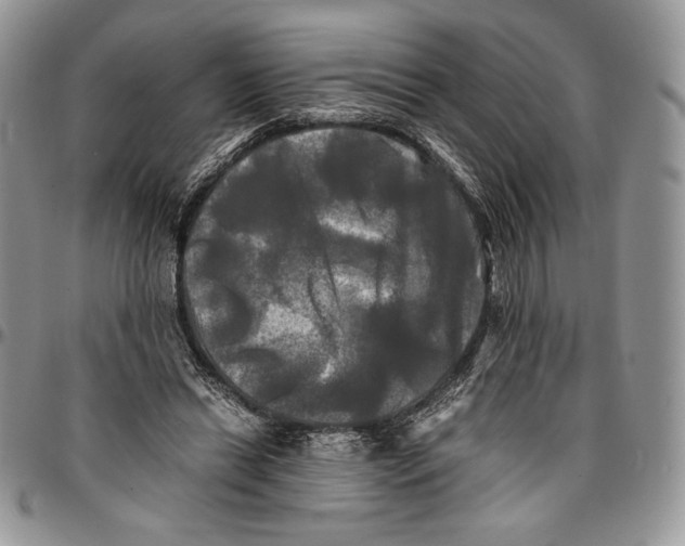 X0000096380446200802141435