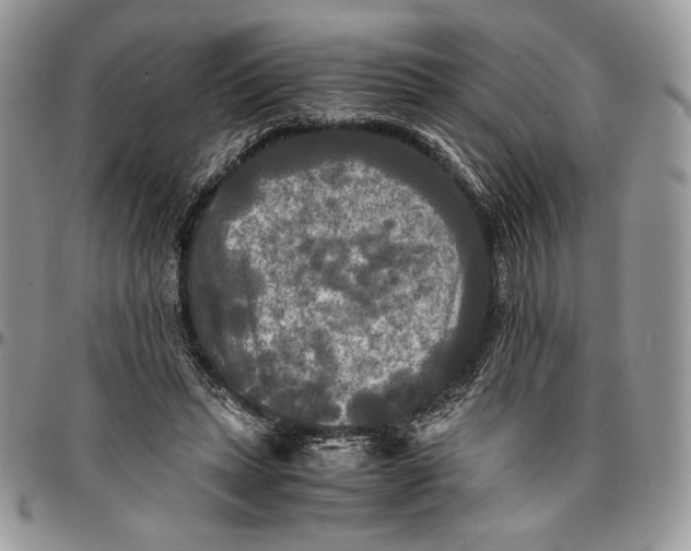 X0000096380447200802141435