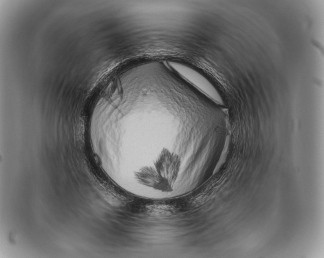 X0000096380448200802141435