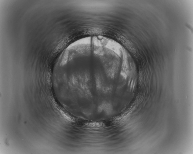 X0000096380449200802141435