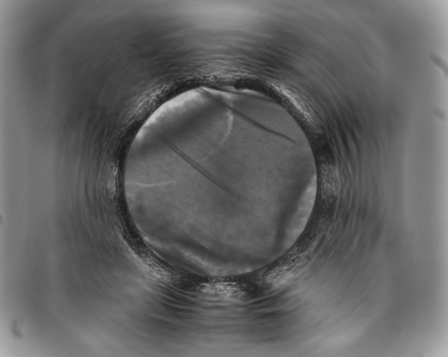 X0000096380451200802141435