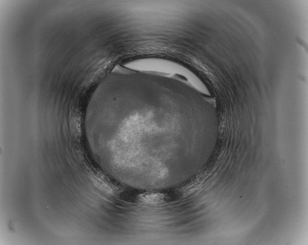 X0000096380452200802141435