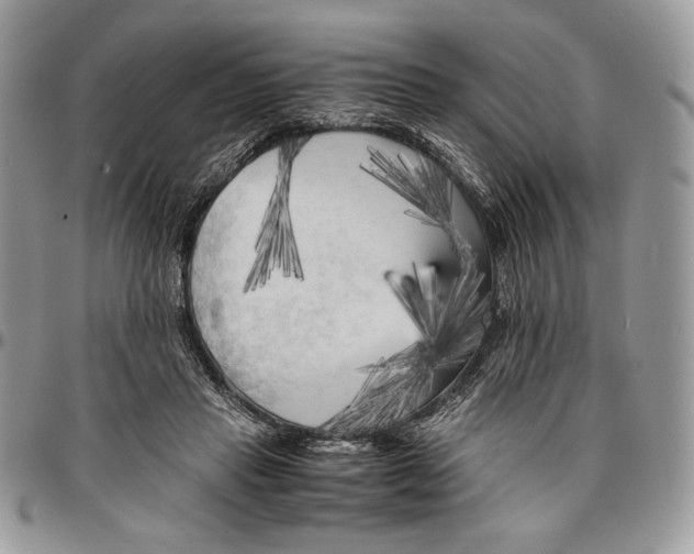 X0000096380453200802141435