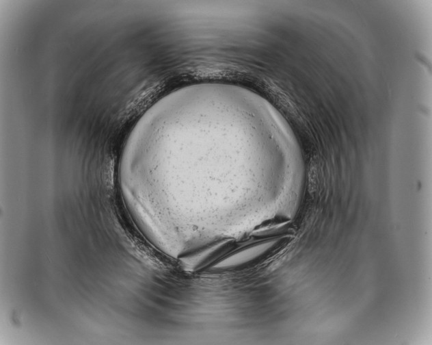 X0000096380454200802141435