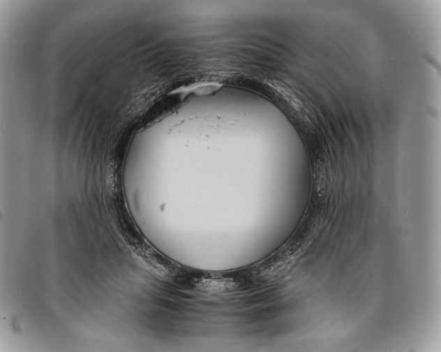 X0000096380455200802141435