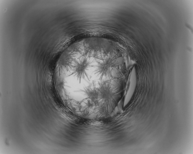 X0000096380456200802141435