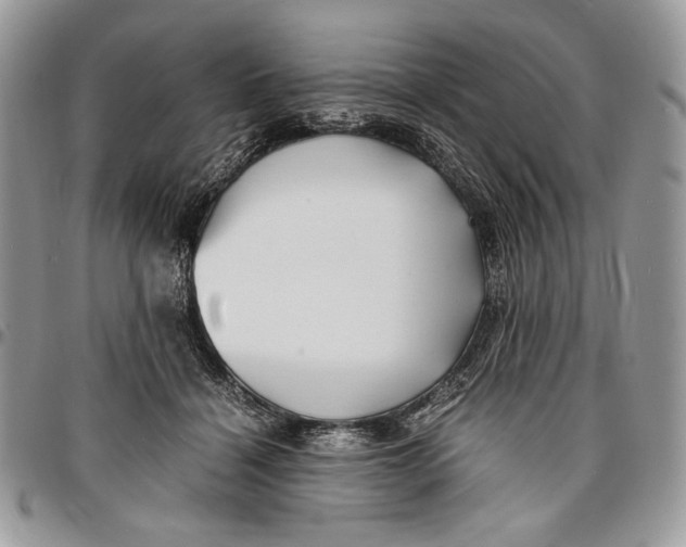 X0000096380460200802141435