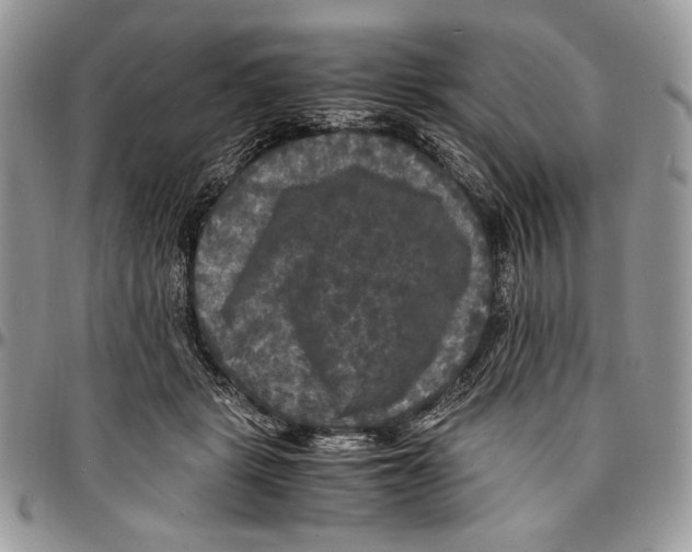 X0000096380461200802141435