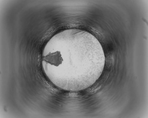 X0000096380462200802141435