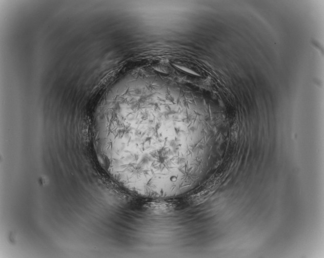 X0000096380464200802141435