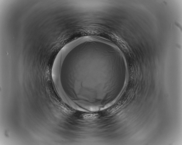 X0000096380465200802141435