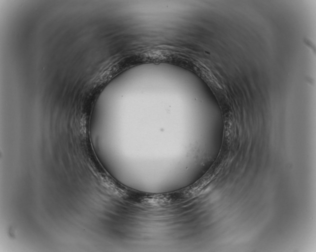 X0000096380466200802141435