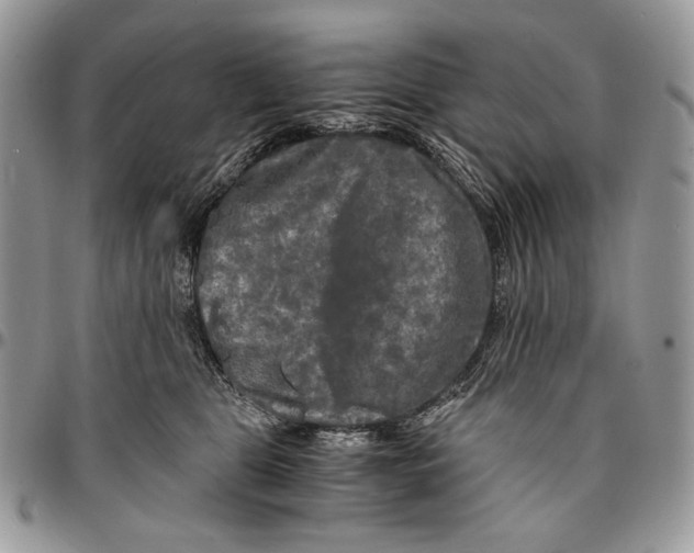 X0000096380469200802141435