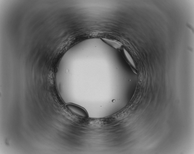 X0000096380470200802141435