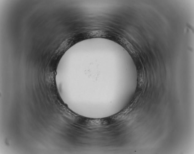 X0000096380473200802141435