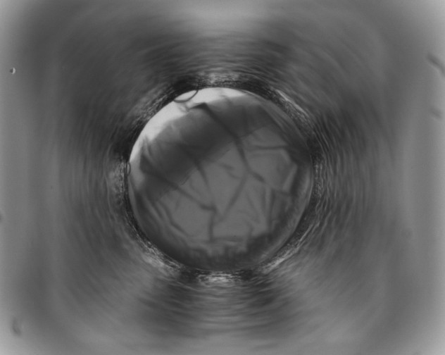 X0000096380475200802141435