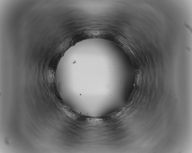 X0000096380476200802141435