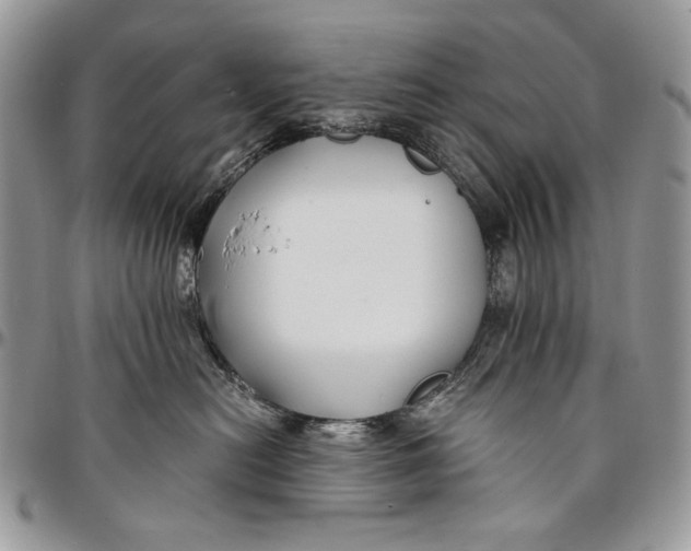 X0000096380478200802141435