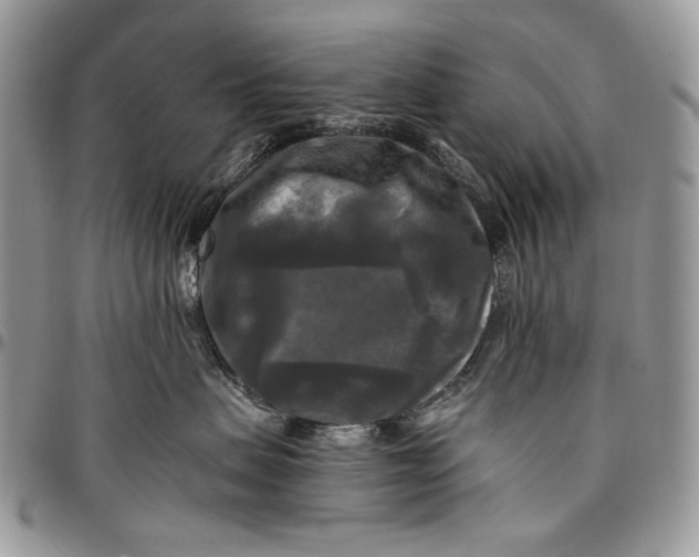 X0000096380479200802141435