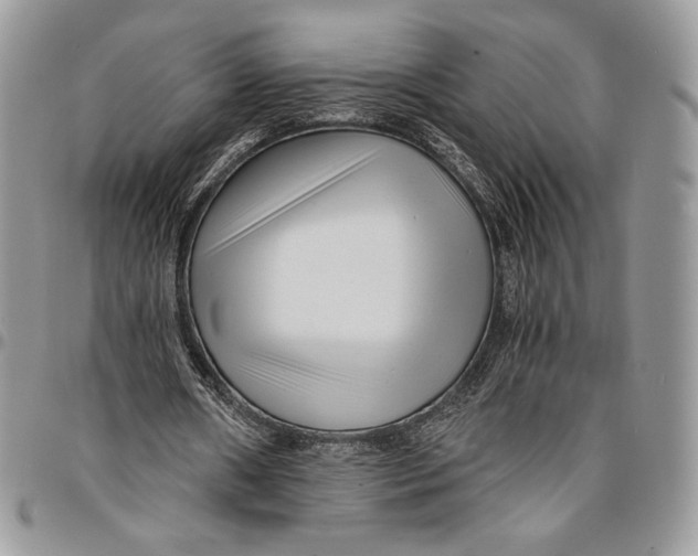 X0000096380482200802141435