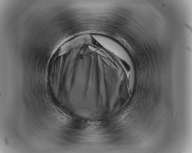 X0000096380484200802141435