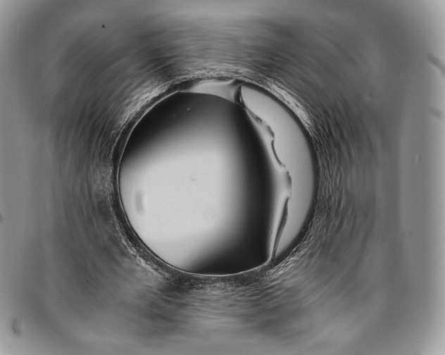 X0000096380485200802141435