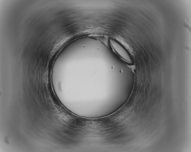 X0000096380486200802141435