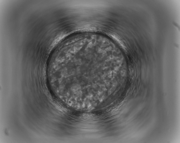 X0000096380487200802141435