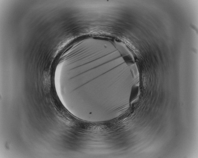 X0000096380488200802141435