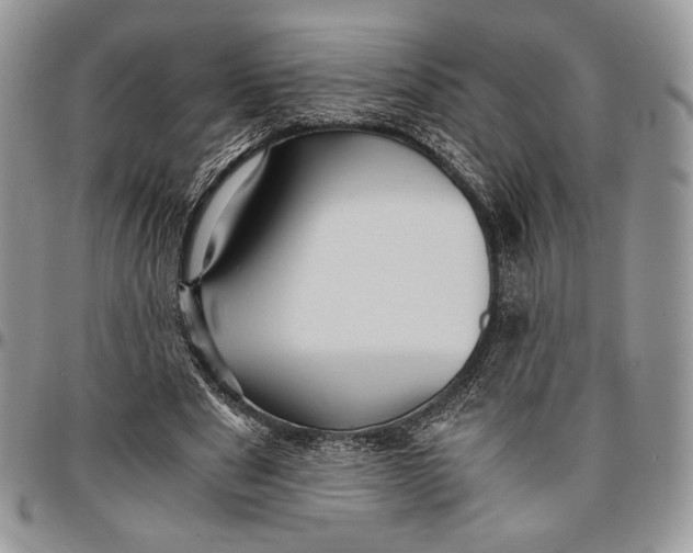 X0000096380489200802141435