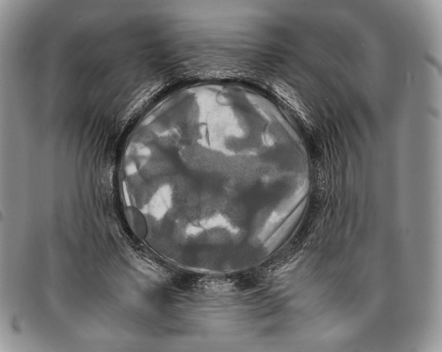 X0000096380491200802141435