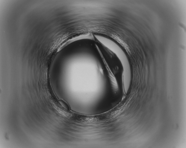 X0000096380493200802141435