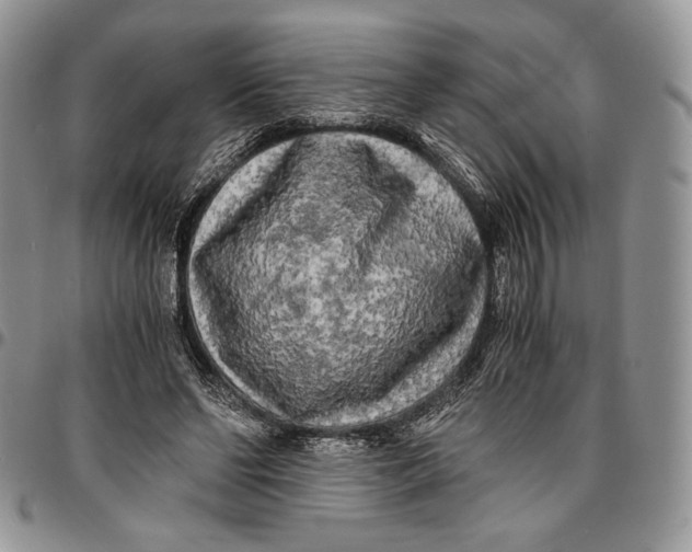 X0000096380494200802141435