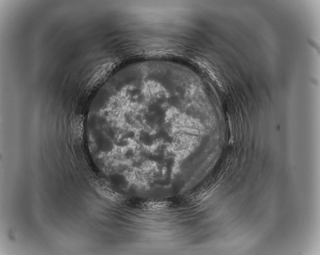 X0000096380495200802141434