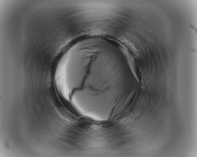 X0000096380496200802141434