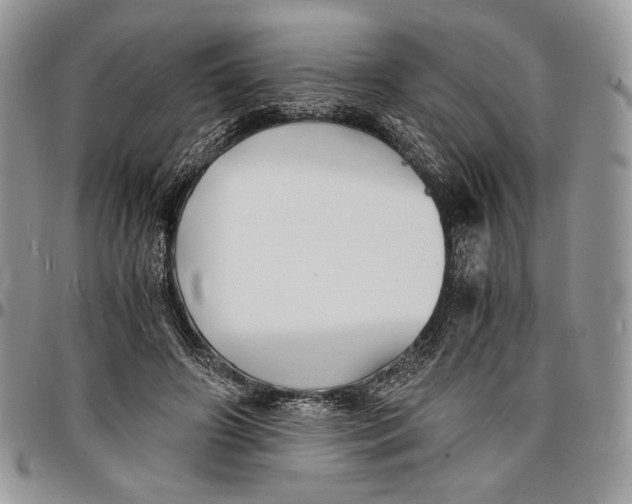 X0000096380498200802141434