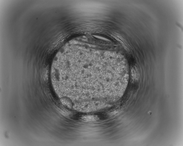 X0000096380499200802141434