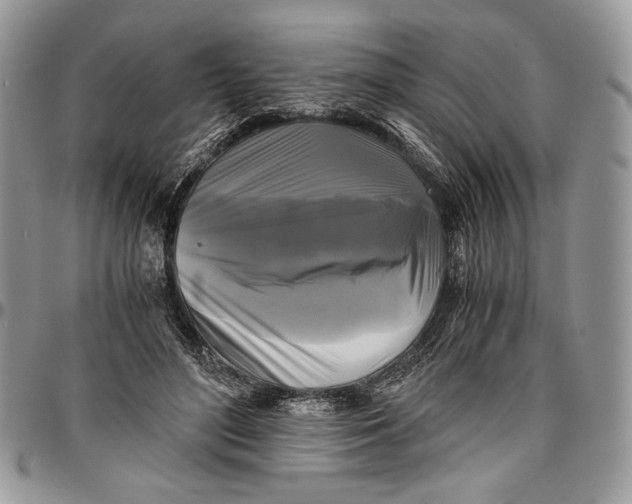 X0000096380500200802141434