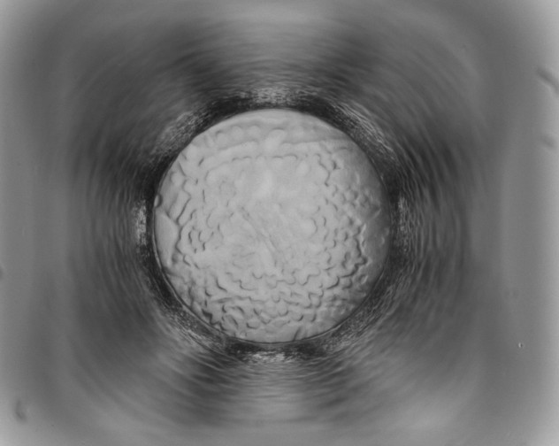 X0000096380502200802141434