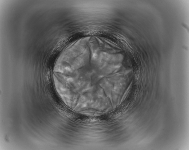 X0000096380503200802141434