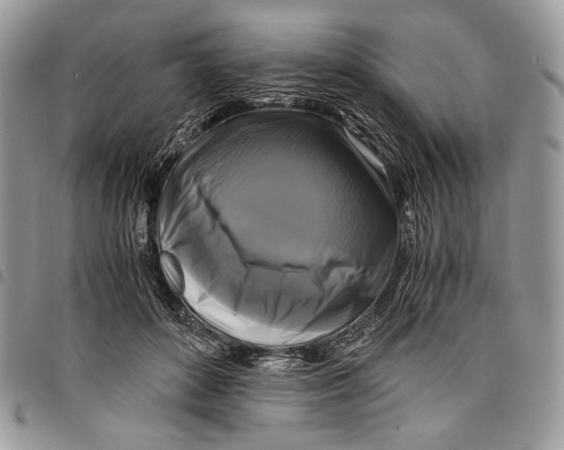 X0000096380504200802141434