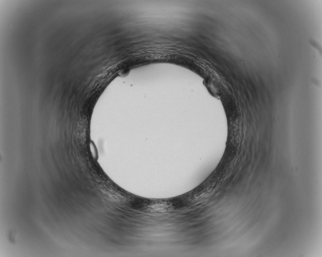 X0000096380505200802141434