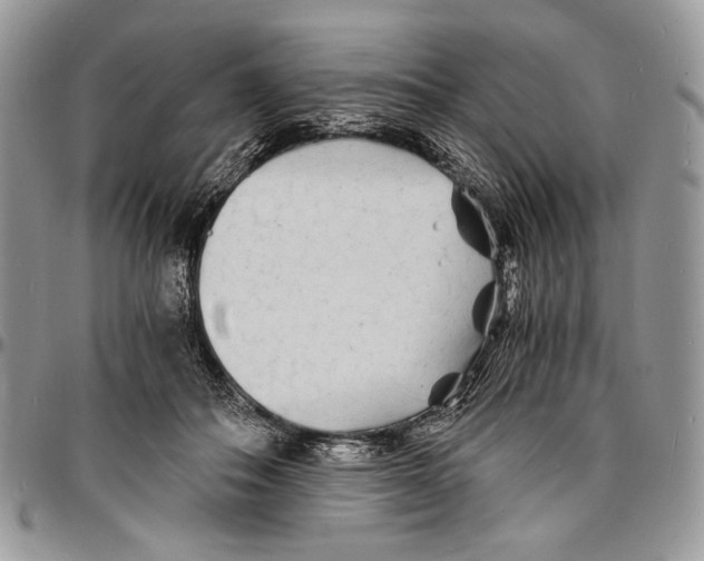 X0000096380506200802141434