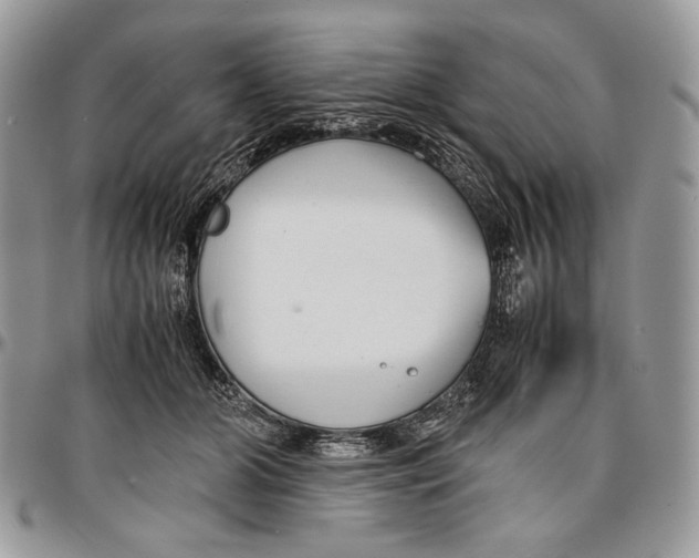 X0000096380510200802141434